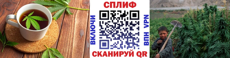 сколько стоит  Новое Девяткино  Cannafood марихуана 