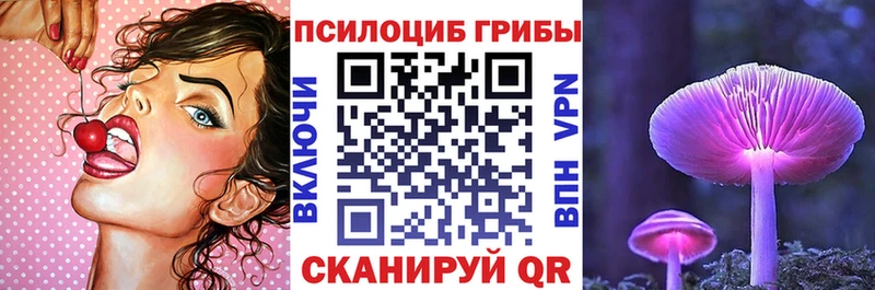 наркошоп  Новое Девяткино  Псилоцибиновые грибы Psilocybine cubensis 